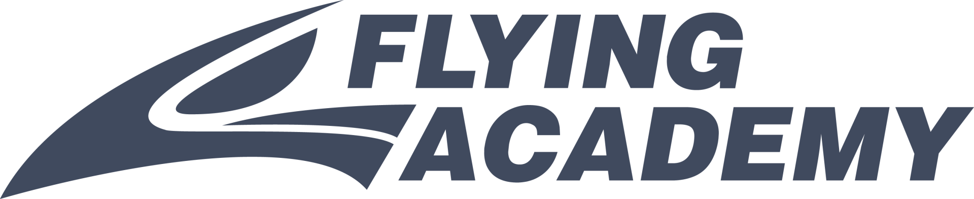 Flying Academy